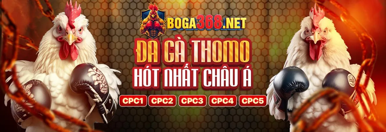 Sân đấu đá gà trực tuyến kịch tính tại aebet trang chủ chính thức
